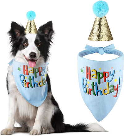 Dog Birthday Bandana Hat Scarf Party Supplies (Blue-Boy)